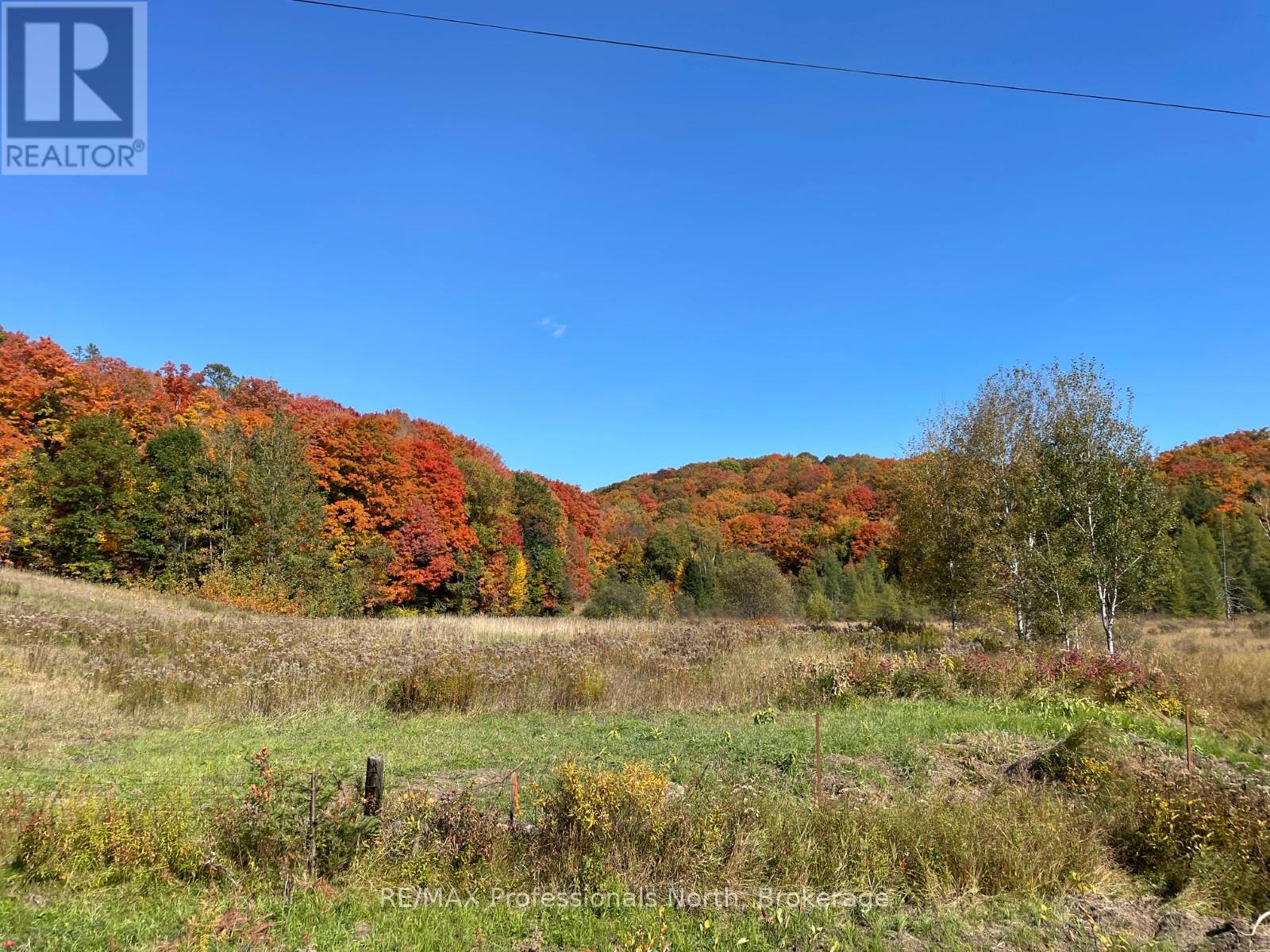 Part 2 Highway 118, Highlands East, Ontario  K0L 2Y0 - Photo 4 - X13007840