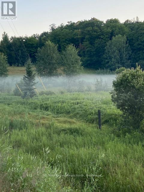 Part 2 Highway 118, Highlands East, Ontario  K0L 2Y0 - Photo 9 - X13007840