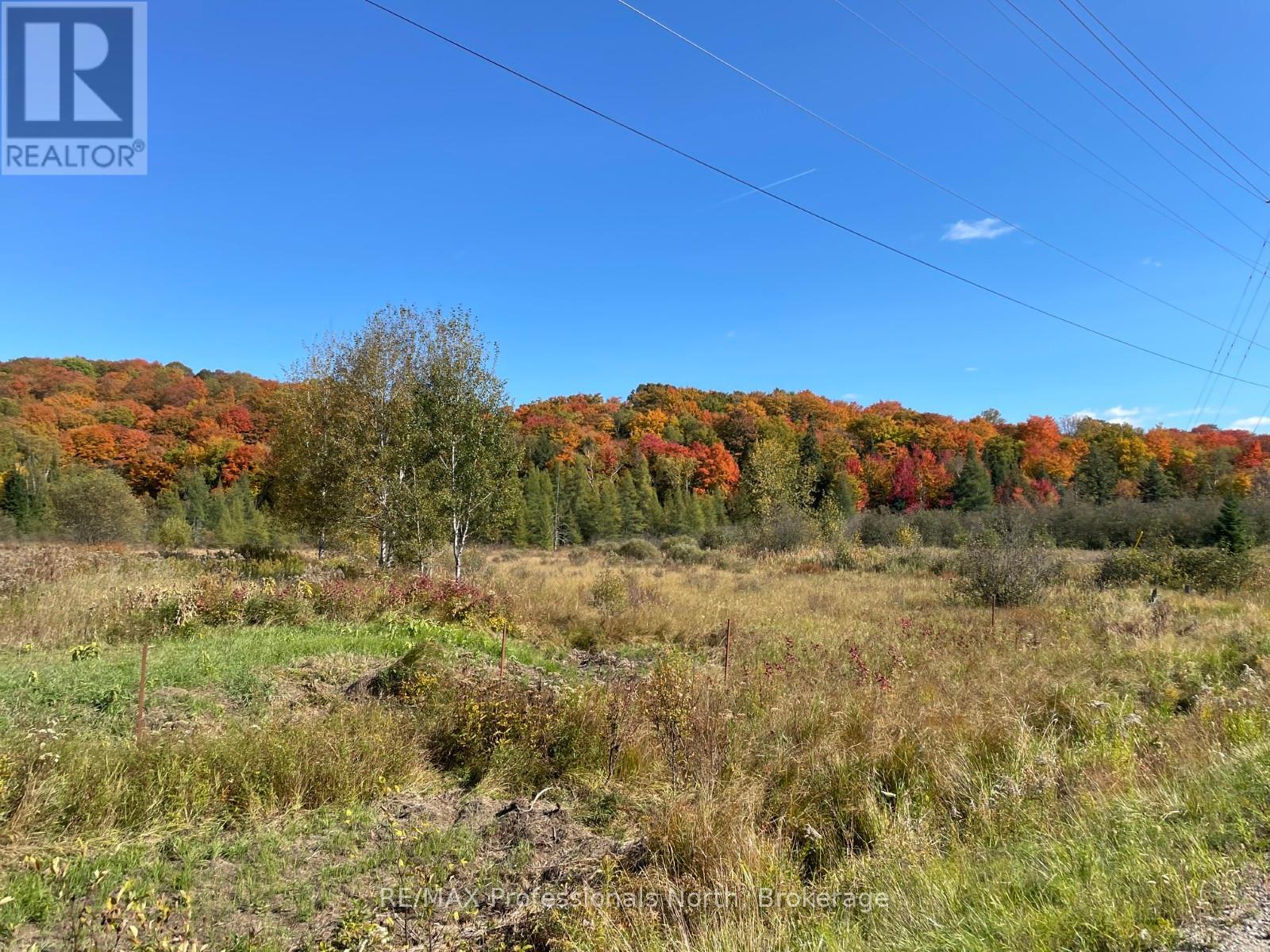 Part 3 Highway 118, Highlands East, Ontario  K0L 2Y0 - Photo 13 - X13007852