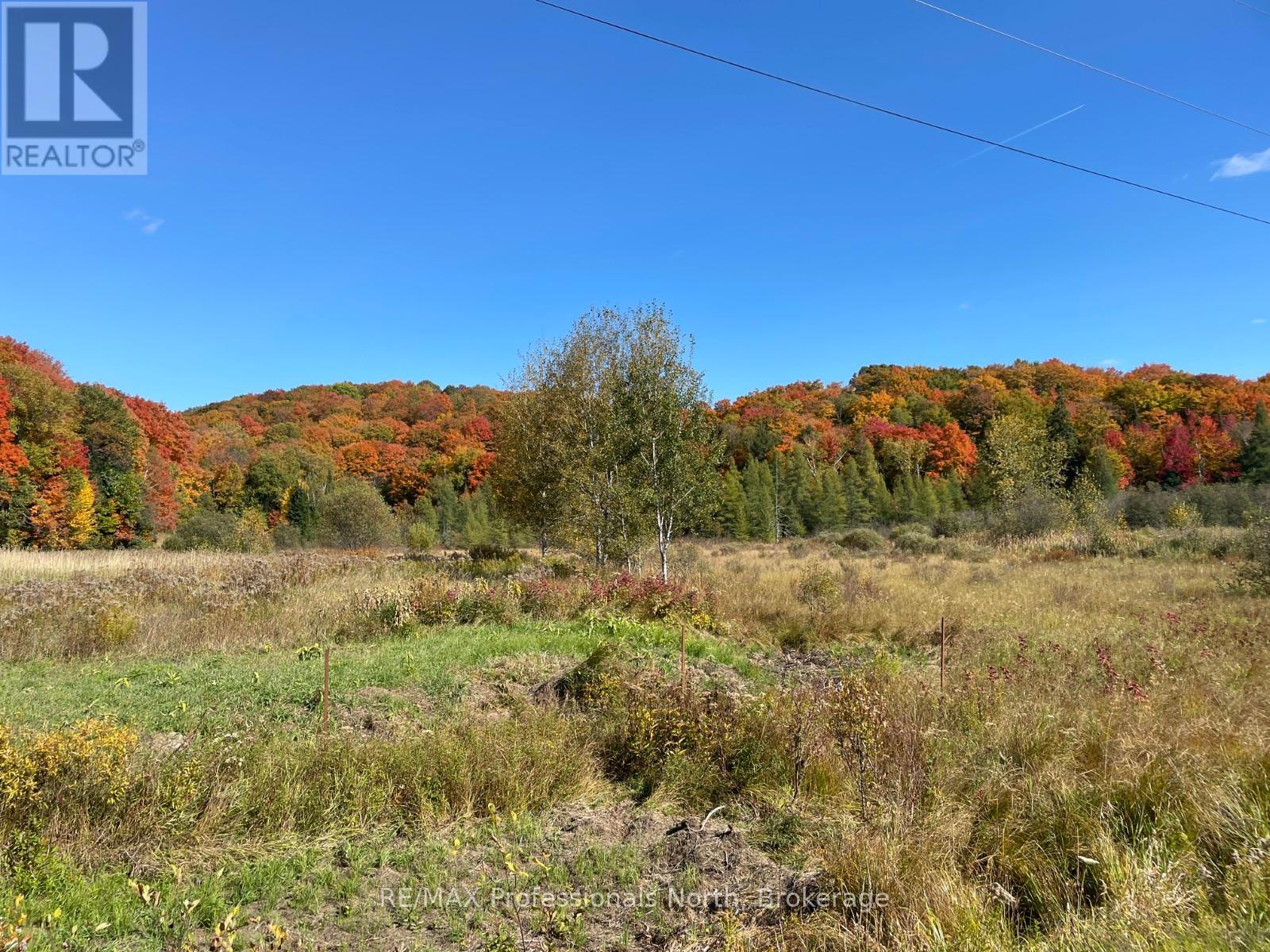 Part 3 Highway 118, Highlands East, Ontario  K0L 2Y0 - Photo 14 - X13007852
