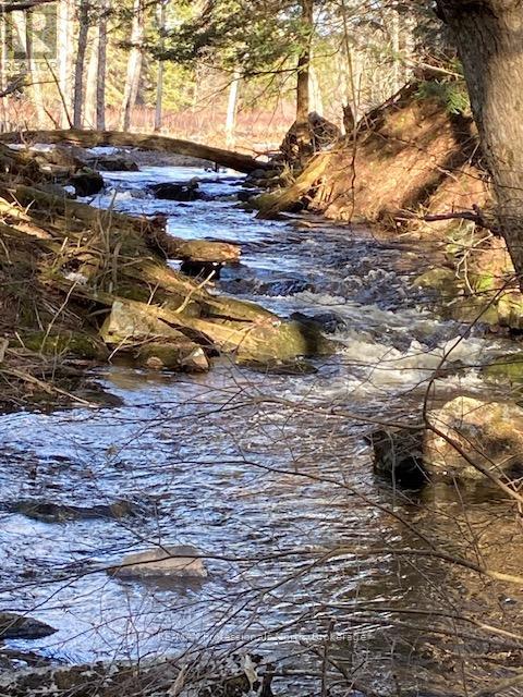 Part 3 Highway 118, Highlands East, Ontario  K0L 2Y0 - Photo 6 - X13007852