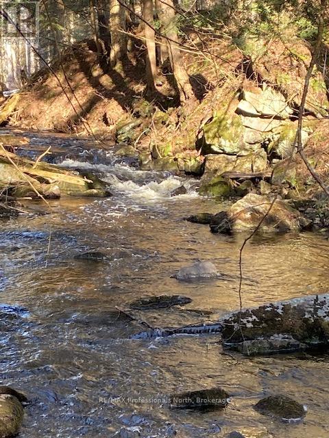 Part 3 Highway 118, Highlands East, Ontario  K0L 2Y0 - Photo 7 - X13007852