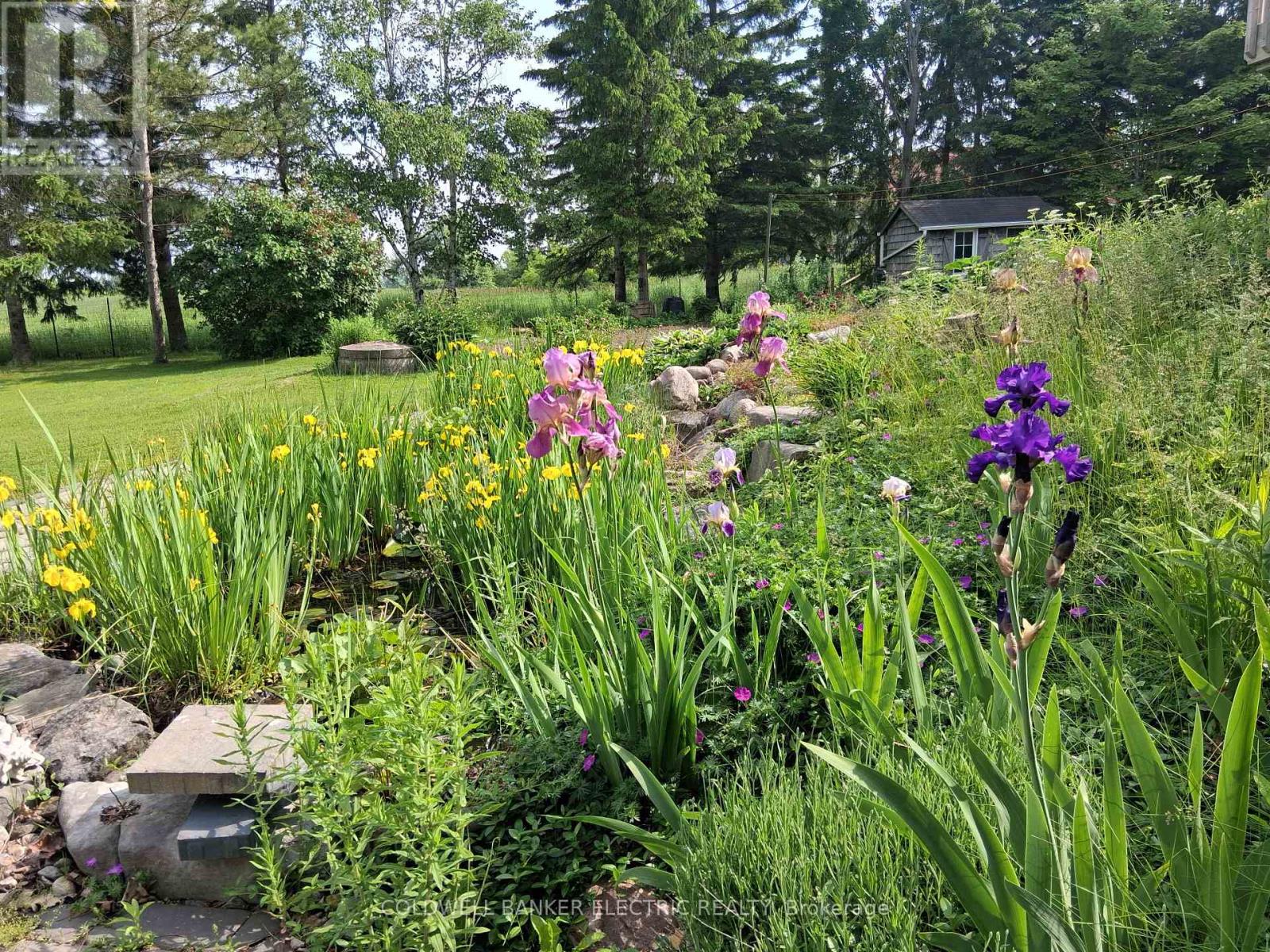 538 Portage Road, Kawartha Lakes, Ontario  K0M 2B0 - Photo 47 - X13007994