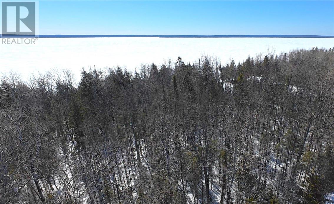 N/a Kokomo Trail, Tehkummah, Ontario  P0P 2C0 - Photo 11 - 2127078