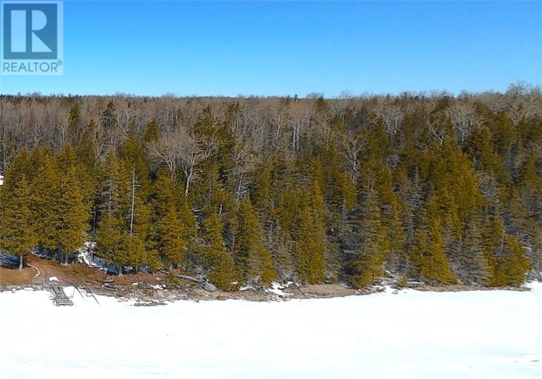 N/a Kokomo Trail, Tehkummah, Ontario  P0P 2C0 - Photo 12 - 2127078