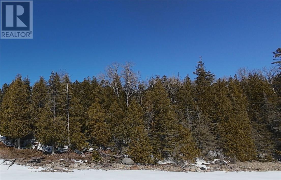 N/a Kokomo Trail, Tehkummah, Ontario  P0P 2C0 - Photo 13 - 2127078