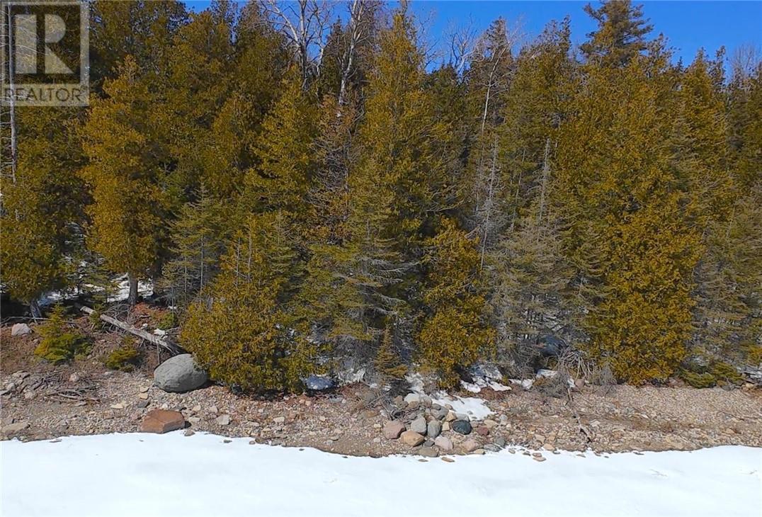 N/a Kokomo Trail, Tehkummah, Ontario  P0P 2C0 - Photo 6 - 2127078