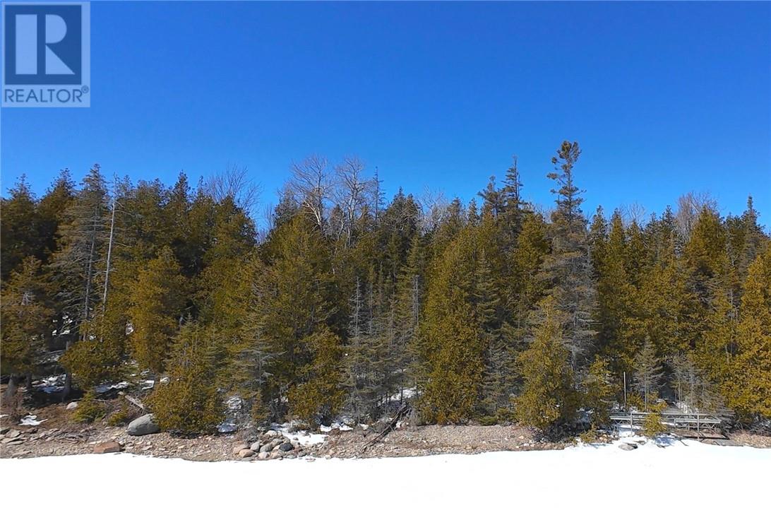 N/a Kokomo Trail, Tehkummah, Ontario  P0P 2C0 - Photo 7 - 2127078