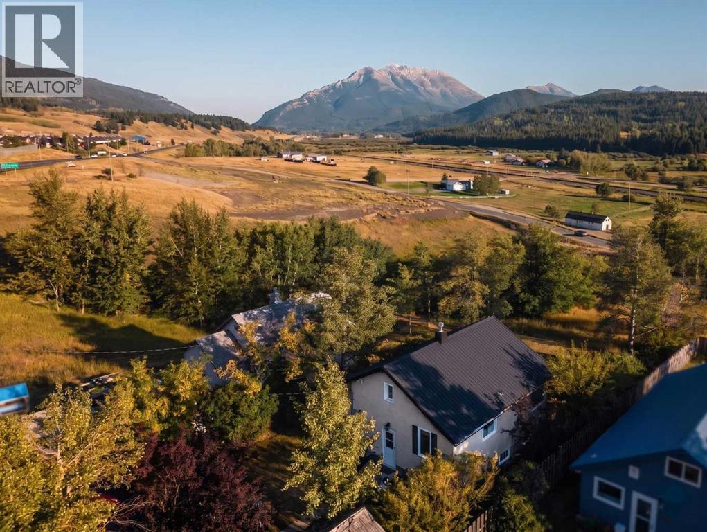 8630 17 Avenue, Coleman, Alberta  T0K 0M0 - Photo 39 - A2300593