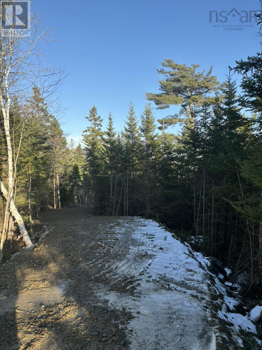 Lot 3 West Petpeswick Road, Petpeswick, Nova Scotia  B0J 2L0 - Photo 5 - 202600988