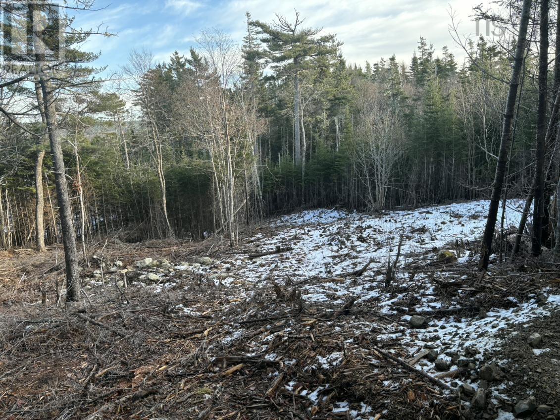 Lot 3 West Petpeswick Road, Petpeswick, Nova Scotia  B0J 2L0 - Photo 4 - 202600988