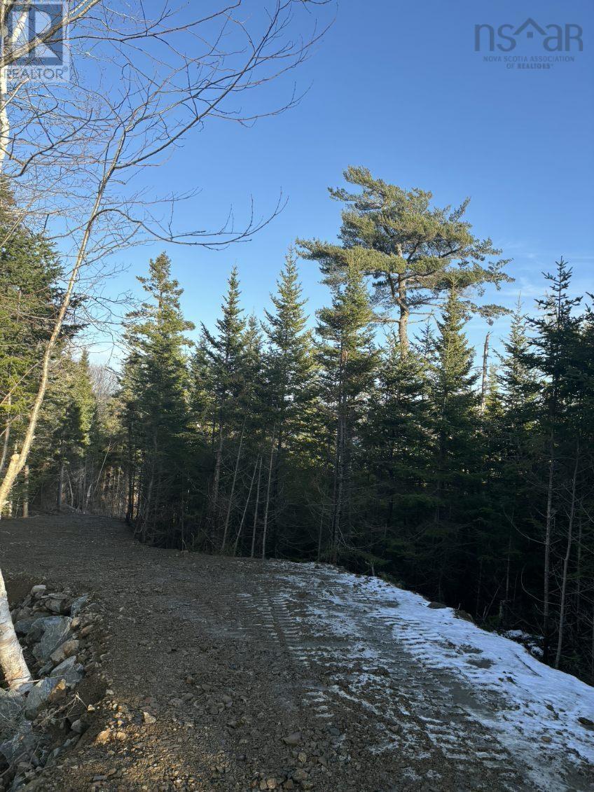 Lot 3 West Petpeswick Road, Petpeswick, Nova Scotia  B0J 2L0 - Photo 3 - 202600988