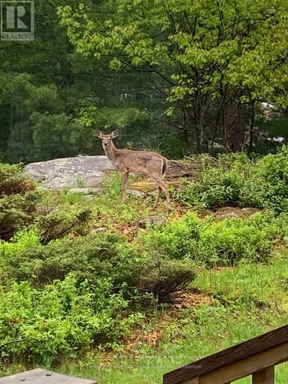 285 C Ruston Road, Nipissing, Ontario  P0H 1H0 - Photo 40 - X13008228
