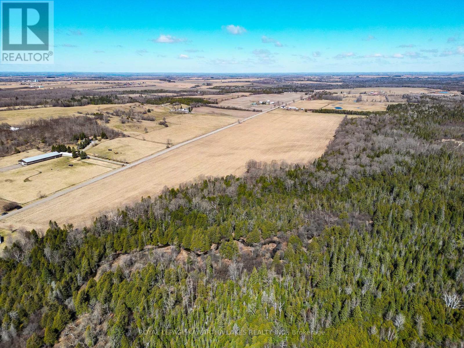 Con 7pt Lot 7 Century Farm Road, Kawartha Lakes, Ontario  L0B 1K0 - Photo 5 - X13008316