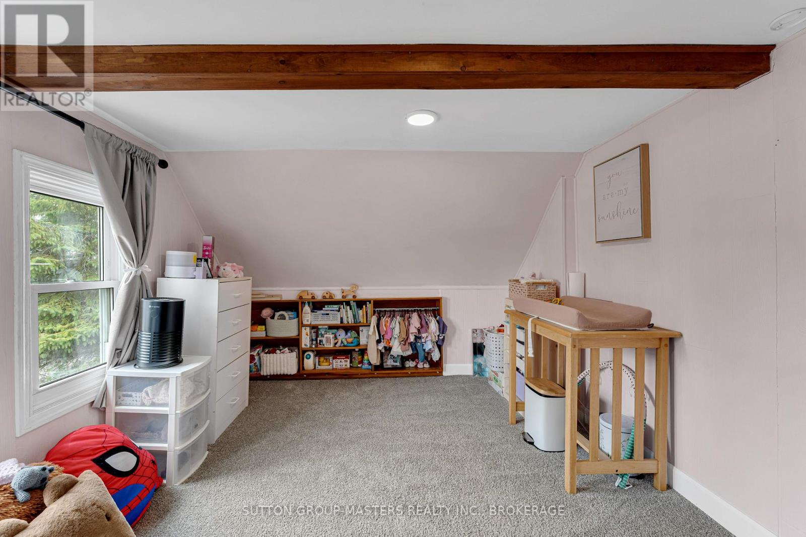 17 N Bartlett Street, Kingston, Ontario  K7K 1X6 - Photo 23 - X13008042