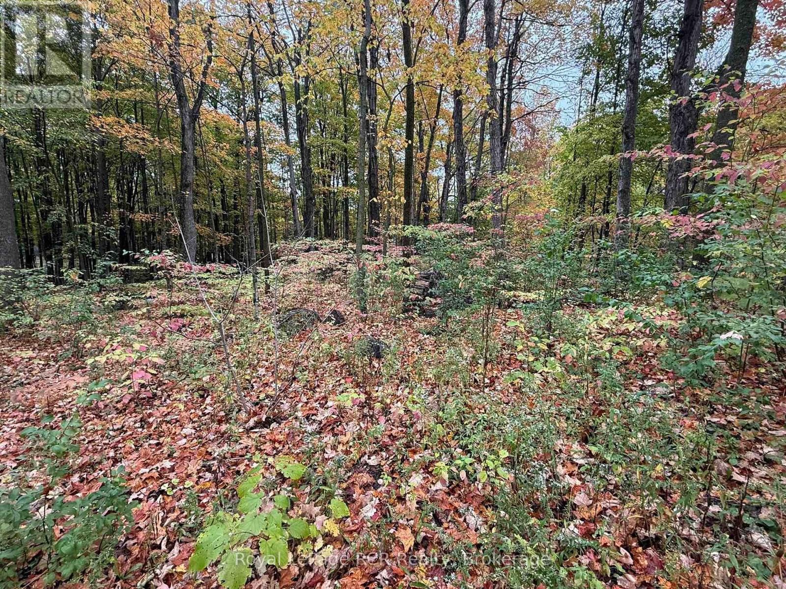 Lot 8 Green Acres Road, Grey Highlands, Ontario  N0C 1E0 - Photo 15 - X13008300