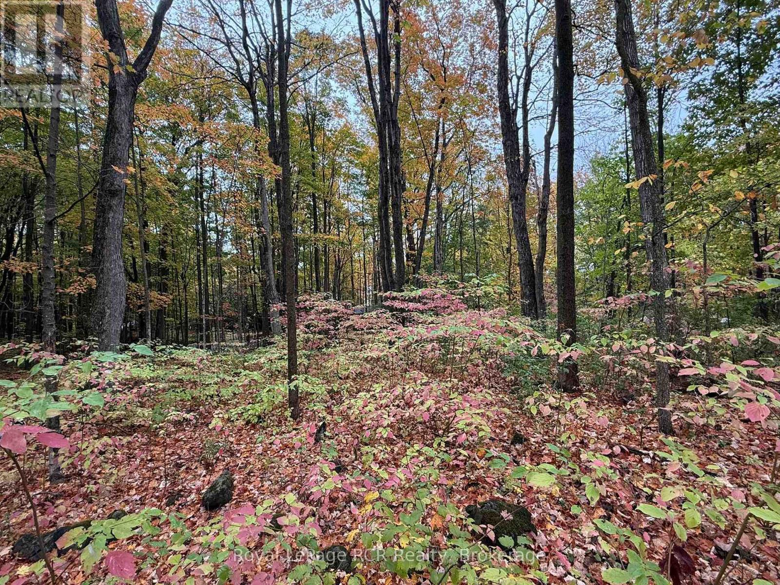 Lot 8 Green Acres Road, Grey Highlands, Ontario  N0C 1E0 - Photo 18 - X13008300