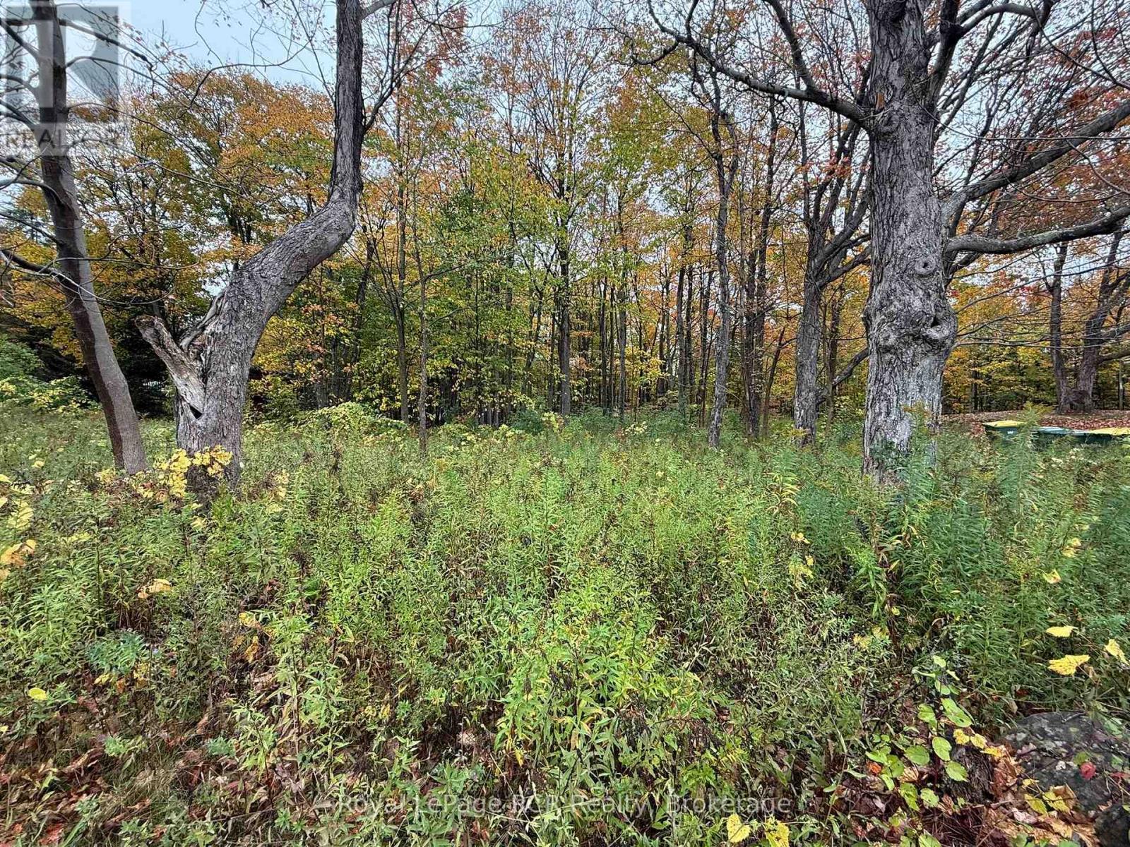 Lot 8 Green Acres Road, Grey Highlands, Ontario  N0C 1E0 - Photo 8 - X13008300