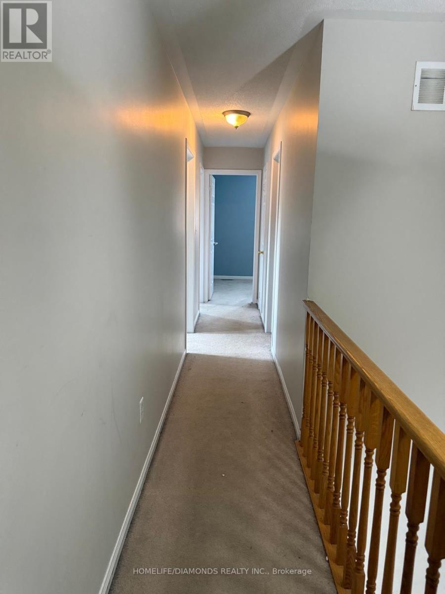 123 Oatfield Road, Brampton, Ontario  L6R 1Y6 - Photo 7 - W13003860