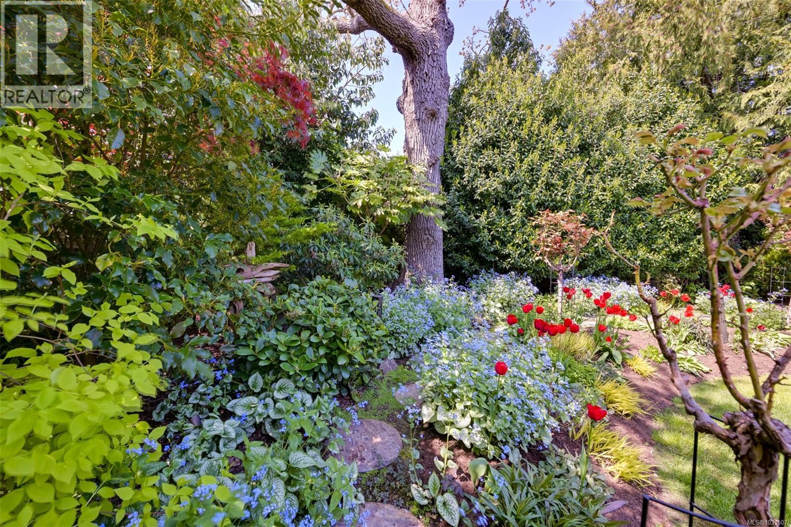 626 Monterey Ave, Oak Bay, British Columbia  V8S 4T9 - Photo 48 - 1031507