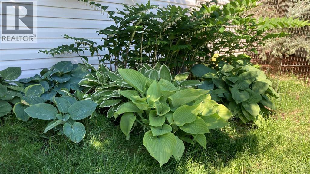 3835 Varsity Drive Nw, Calgary, Alberta  T3A 0Z3 - Photo 35 - A2289407