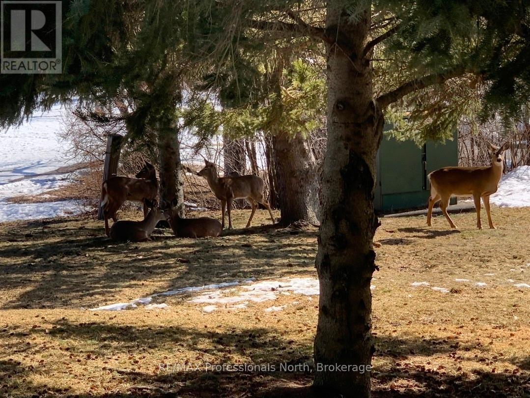 105 - 32 Deerhurst Greens Drive, Huntsville, Ontario  P1H 2E8 - Photo 28 - X12828664