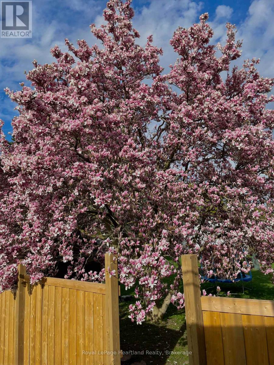 108 Albert Street, Central Huron, Ontario  N0M 1L0 - Photo 37 - X12823558