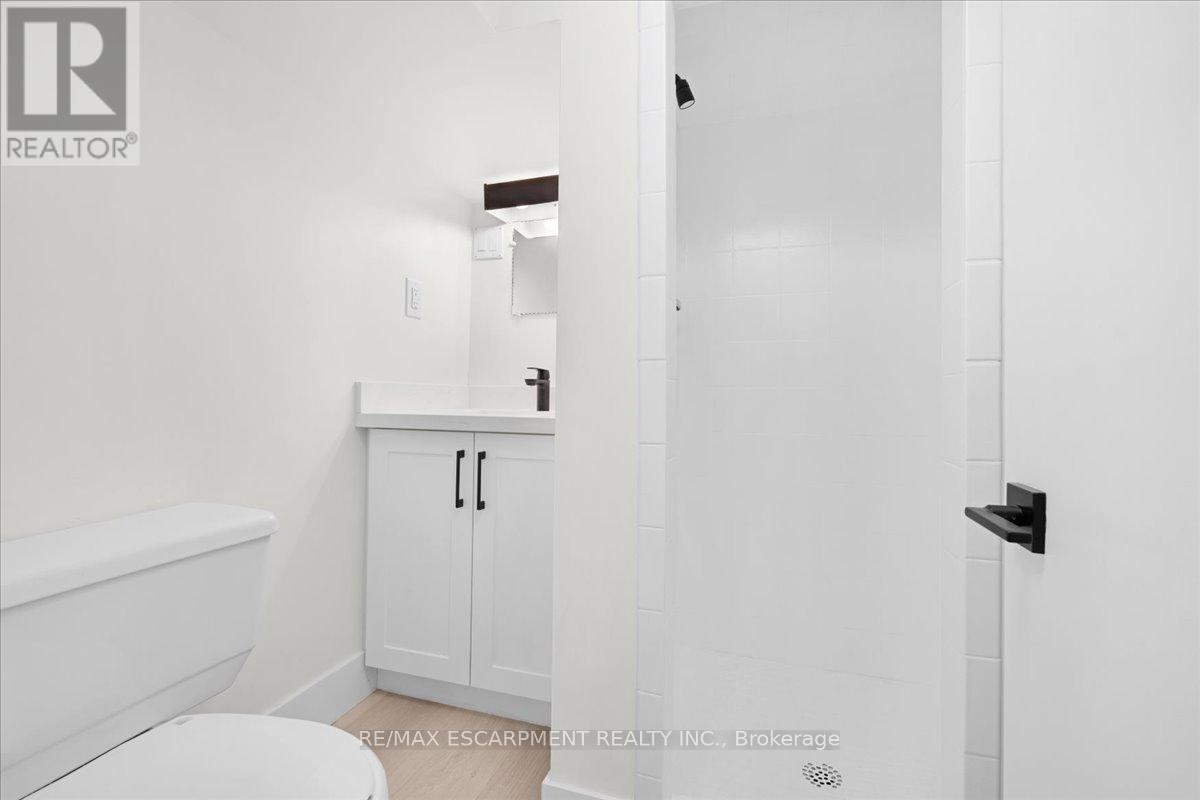 215 Ray Street N, Hamilton, Ontario  L8R 2Y3 - Photo 24 - X13008158