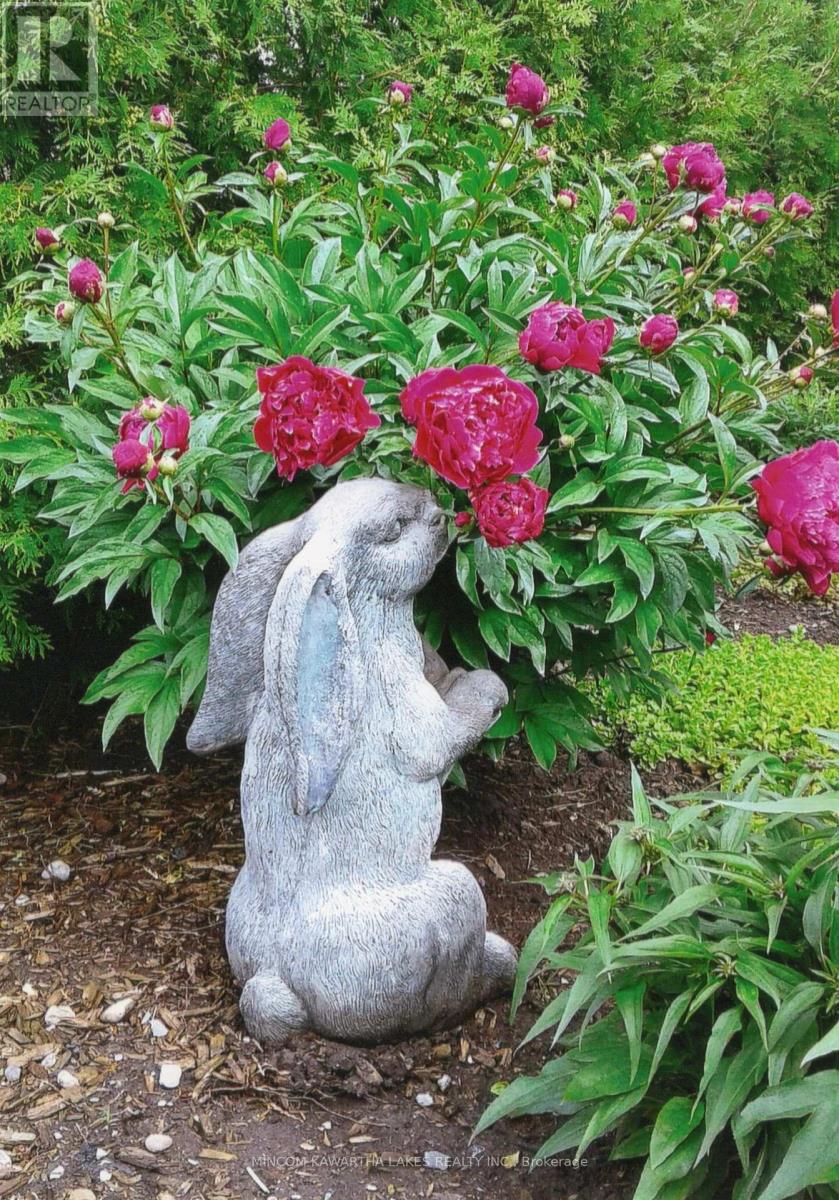 806 Smith Road, Cobourg, Ontario  K9A 0B7 - Photo 40 - X13007012