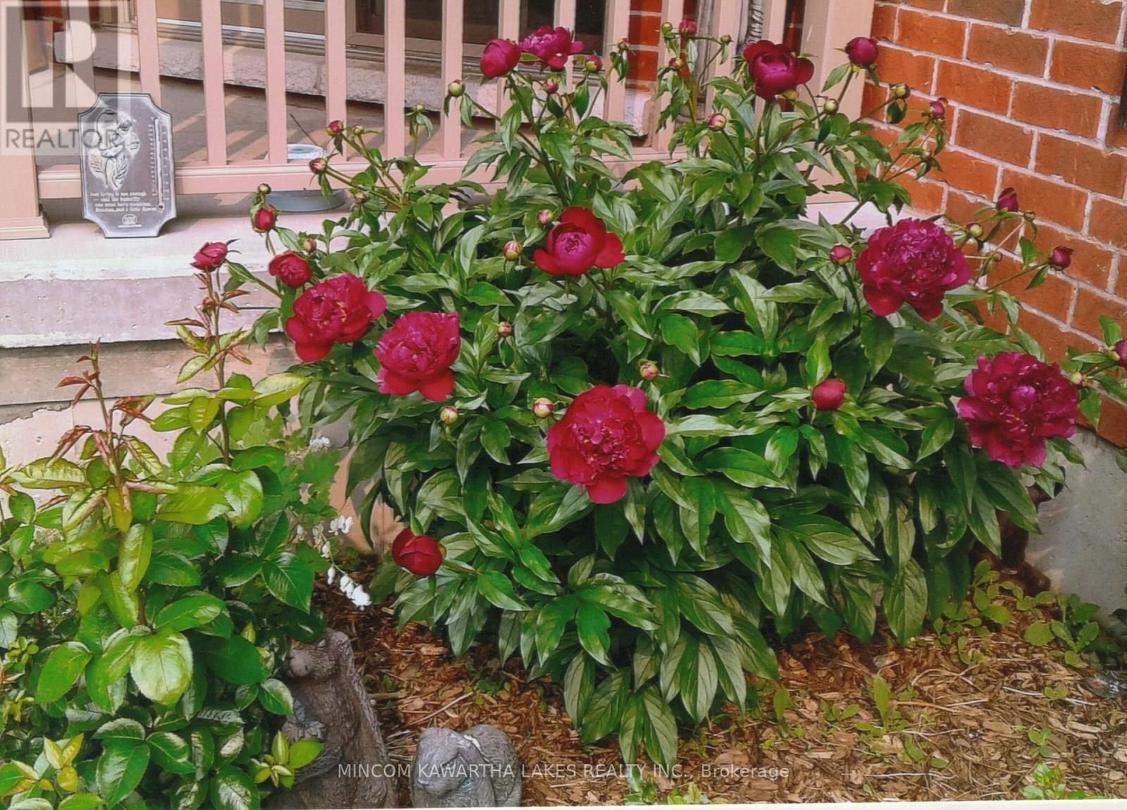 806 Smith Road, Cobourg, Ontario  K9A 0B7 - Photo 46 - X13007012