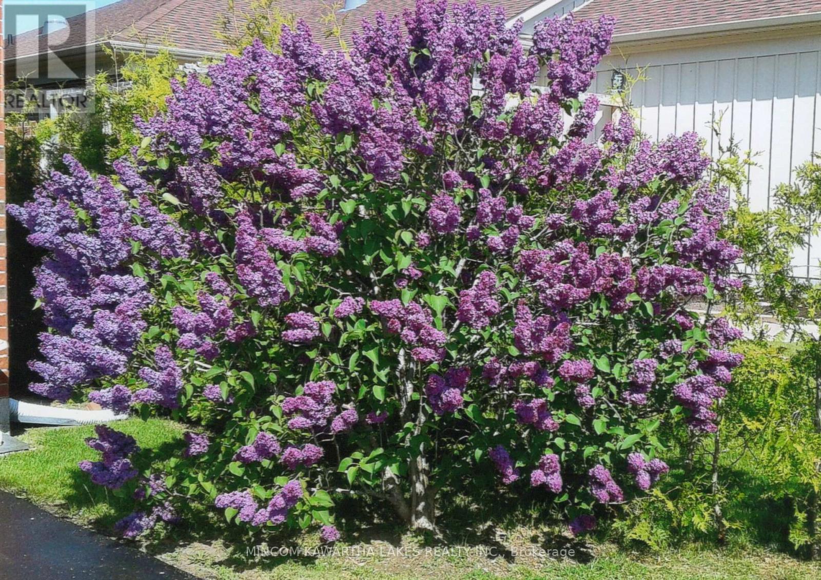 806 Smith Road, Cobourg, Ontario  K9A 0B7 - Photo 35 - X13007012