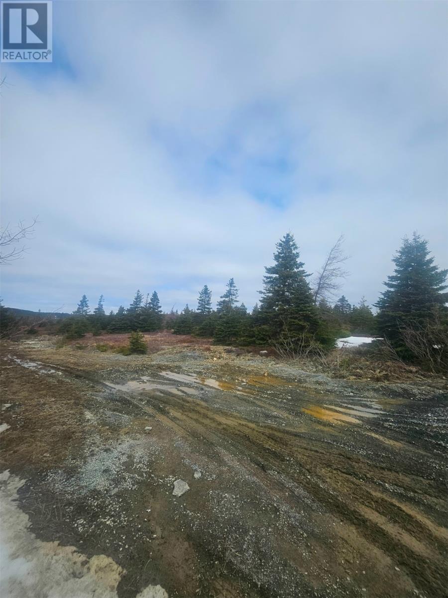 153 Seymours Road, Spaniards Bay, Newfoundland & Labrador  A0A 3X0 - Photo 2 - 1296239