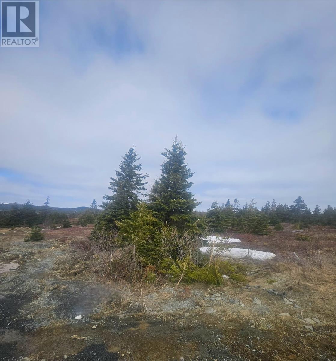 153 Seymours Road, Spaniards Bay, Newfoundland & Labrador  A0A 3X0 - Photo 6 - 1296239