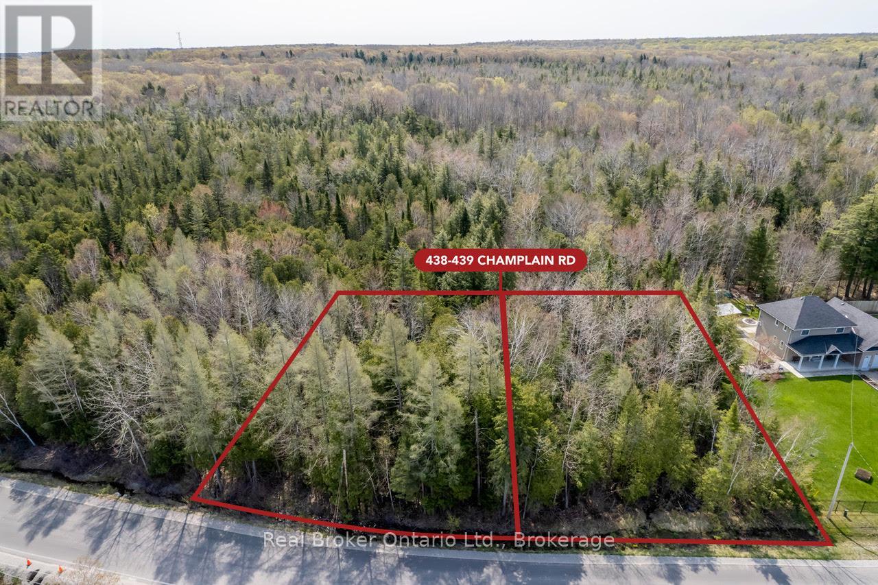 Lot 438 Champlain Road, Tiny, Ontario  L9M 1S5 - Photo 3 - S12949244