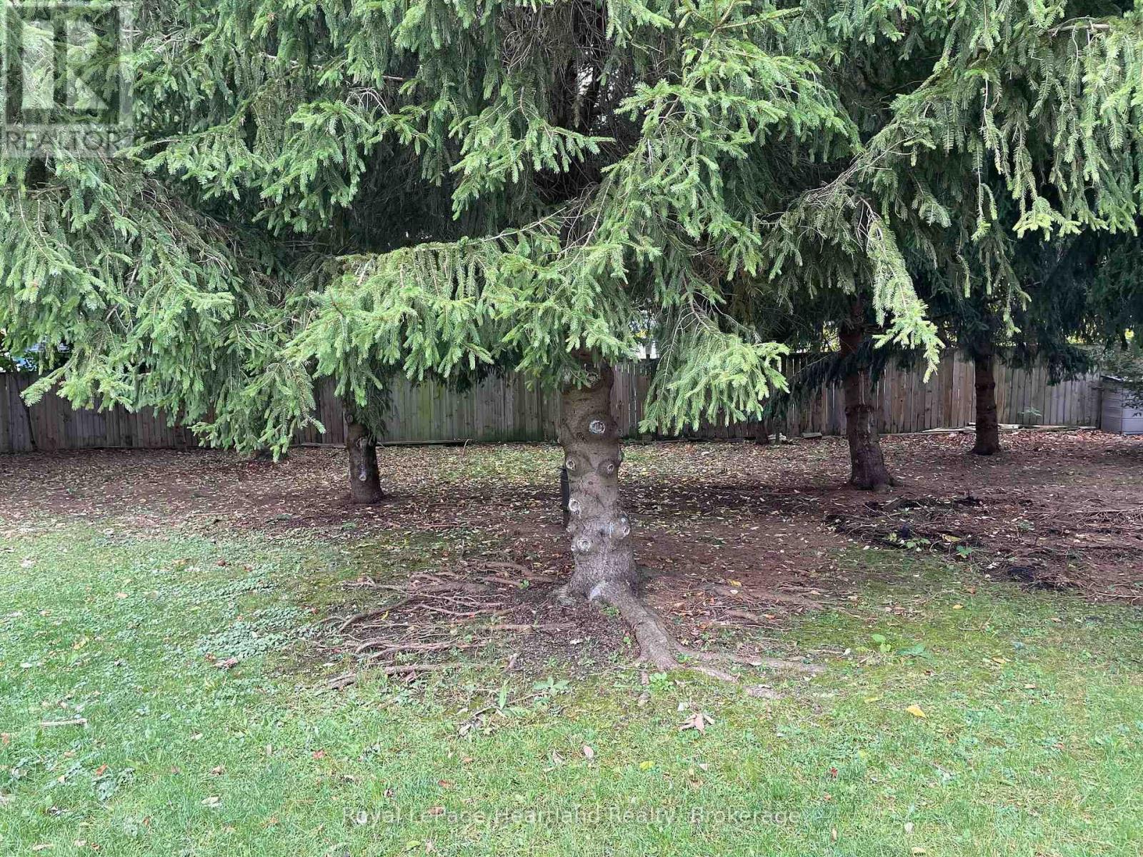 4 Starboard - 77719 Bluewater Highway, Central Huron, Ontario  N0M 1G0 - Photo 16 - X13008338