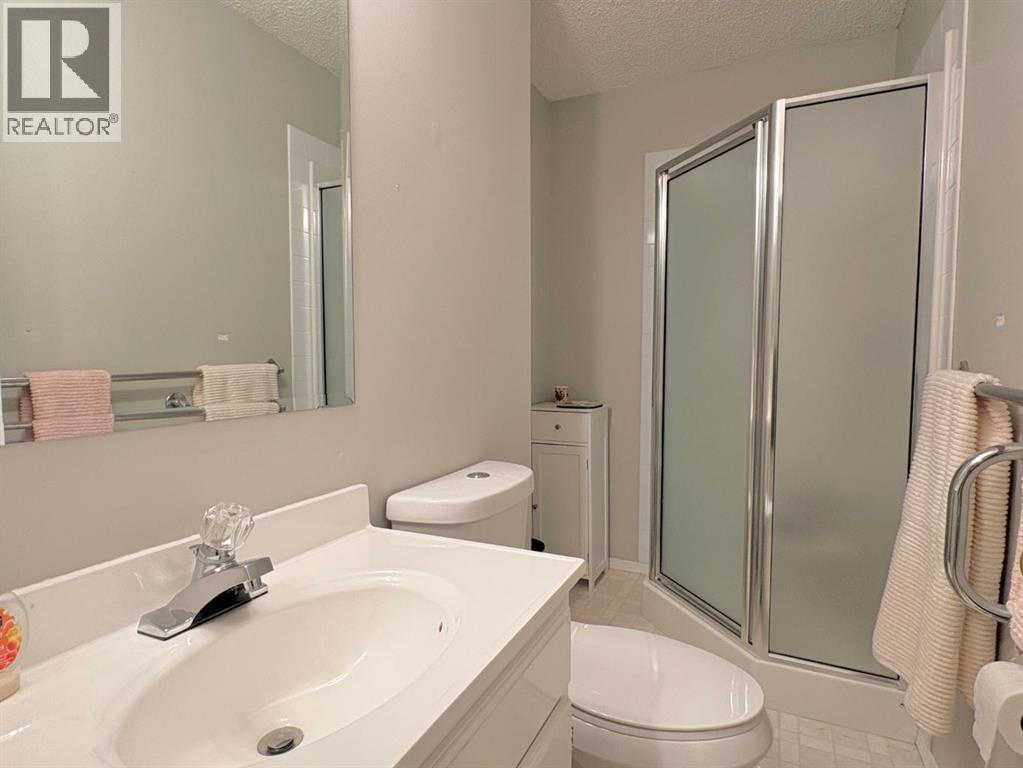 5336 52 Streetclose, Rocky Mountain House, Alberta  T4T 1G9 - Photo 12 - A2302333