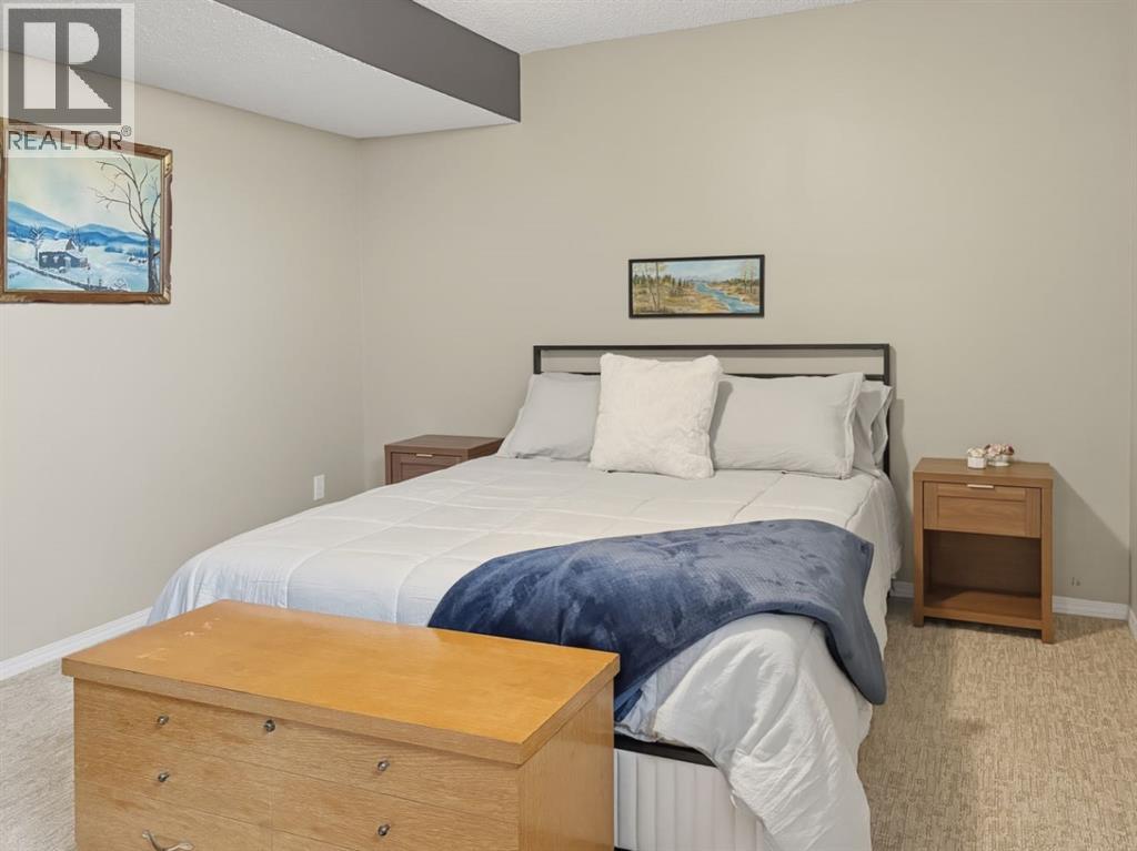 5336 52 Streetclose, Rocky Mountain House, Alberta  T4T 1G9 - Photo 26 - A2302333