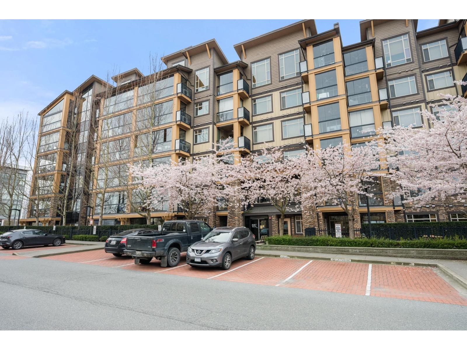 B115 8067 207 Street, Langley, British Columbia  V2Y 0N9 - Photo 5 - R3103392