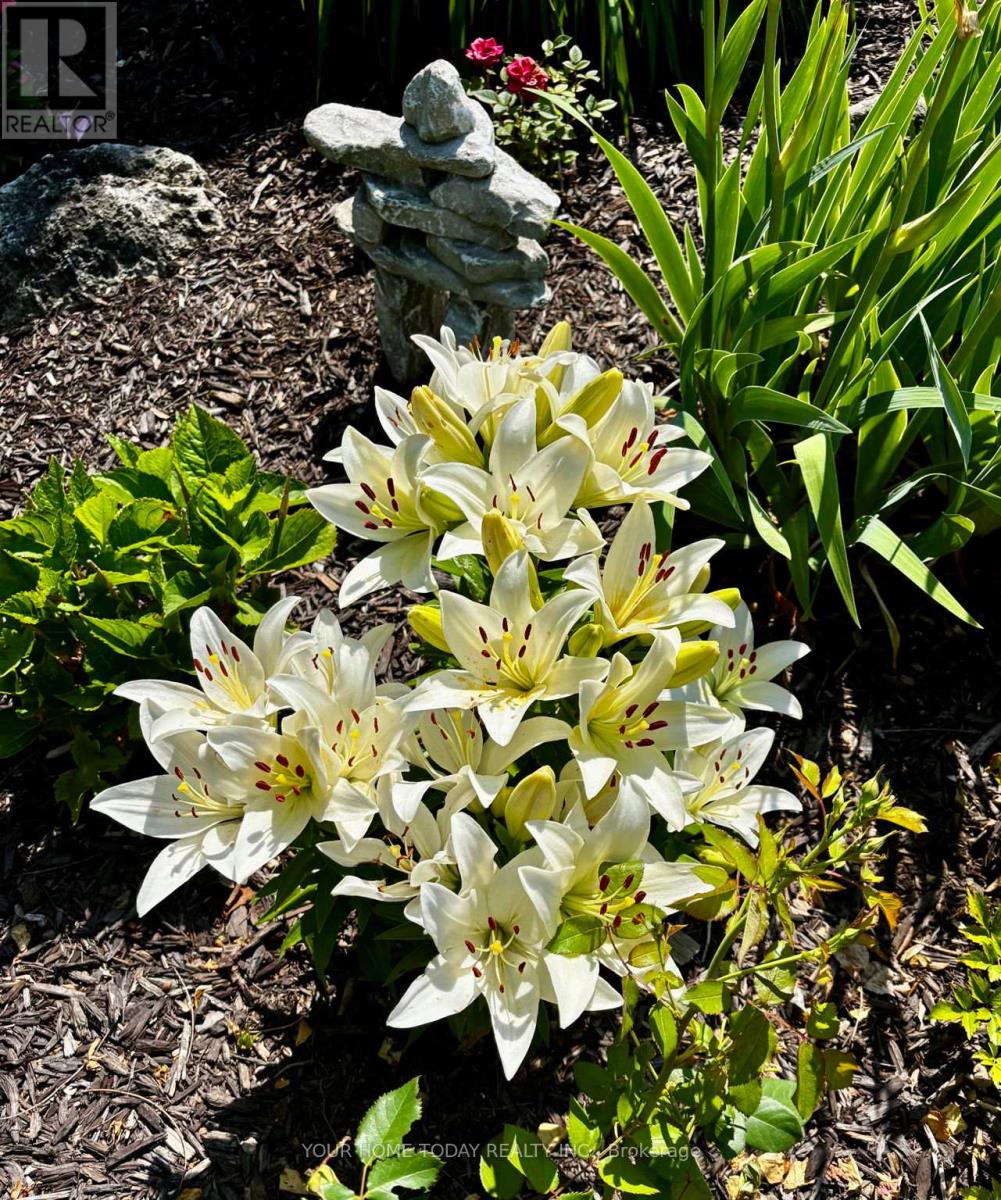 36 Queen Street, Halton Hills, Ontario  L7G 2E6 - Photo 29 - W13008614