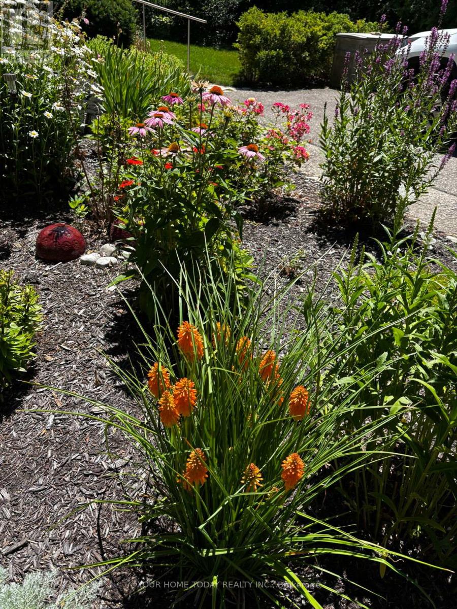 36 Queen Street, Halton Hills, Ontario  L7G 2E6 - Photo 30 - W13008614