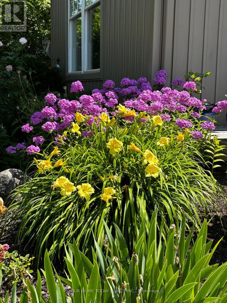 36 Queen Street, Halton Hills, Ontario  L7G 2E6 - Photo 33 - W13008614