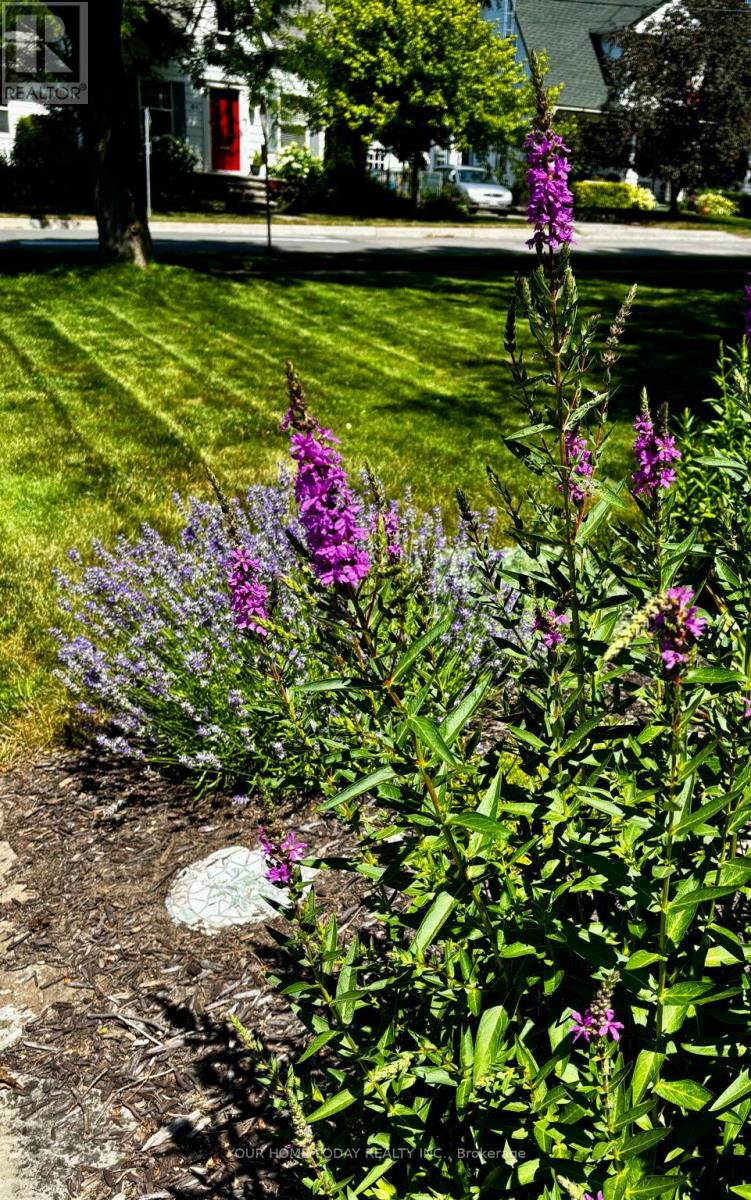 36 Queen Street, Halton Hills, Ontario  L7G 2E6 - Photo 35 - W13008614