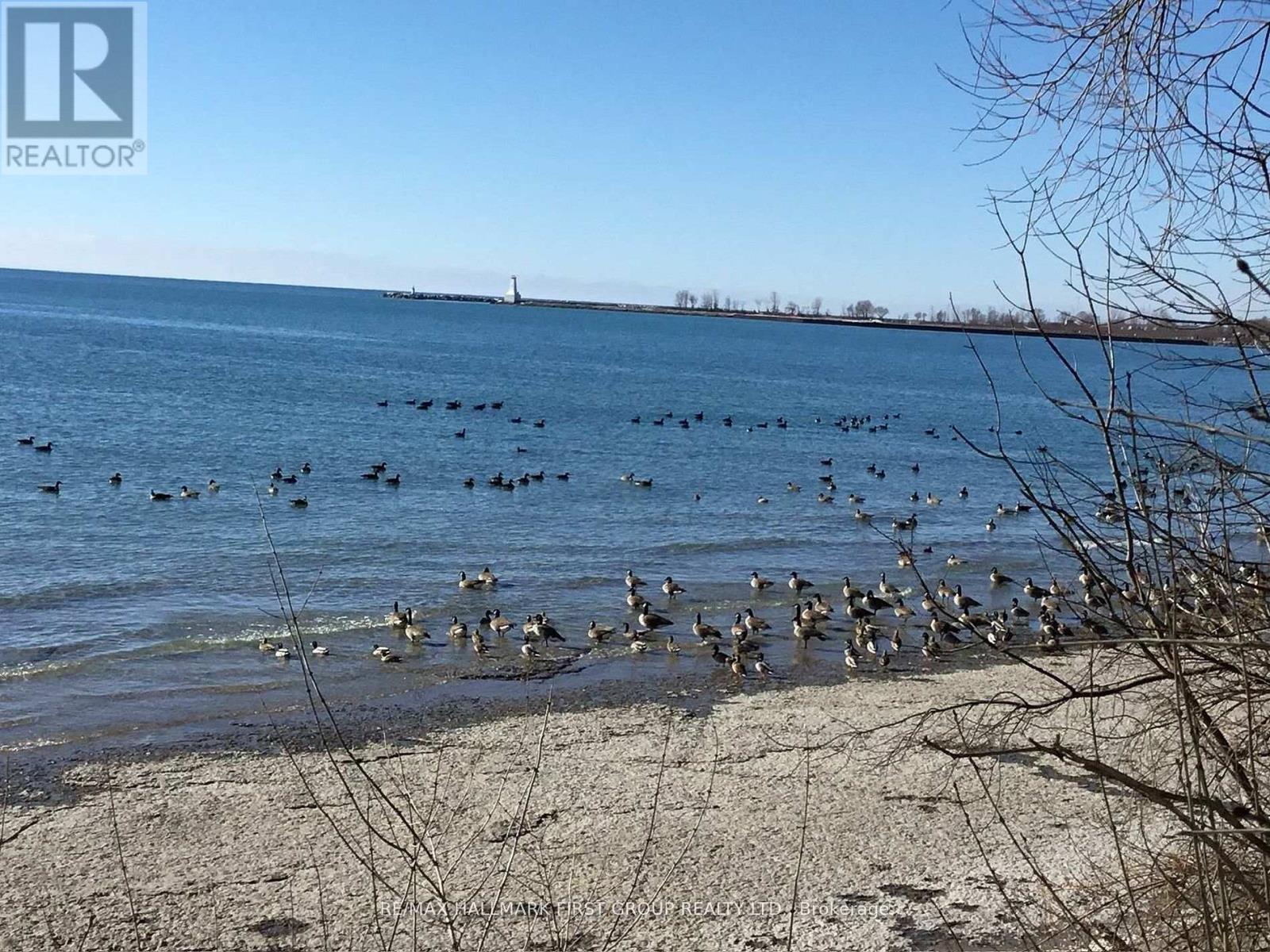 7 D'arcy Street, Cobourg, Ontario  K9A 3Z5 - Photo 30 - X13008556