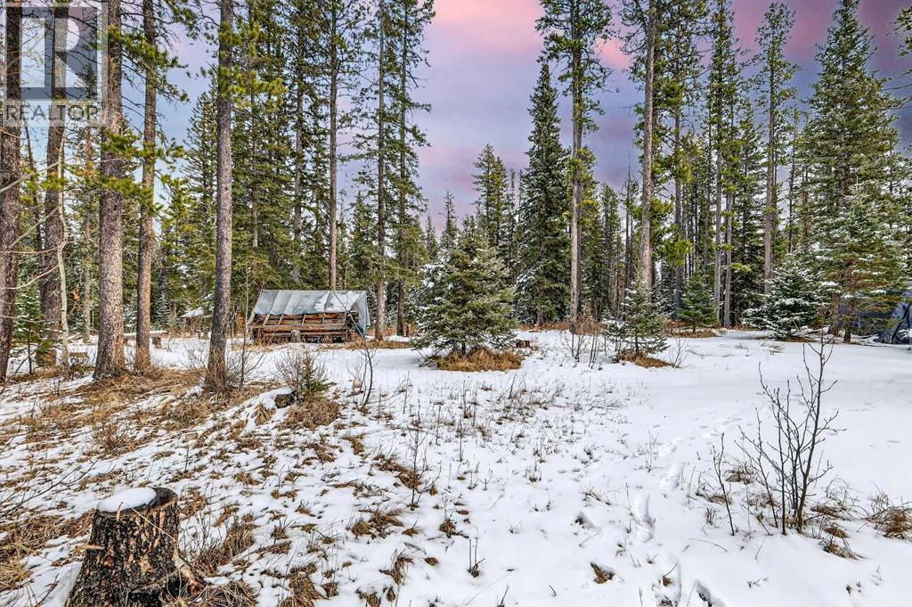 336 Wild Rose Close, Rural Rocky View County, Alberta  T0L 0K0 - Photo 42 - A2298709