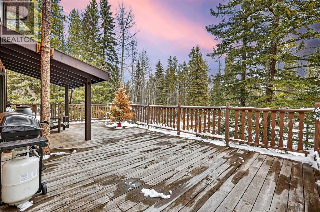 336 Wild Rose Close, Rural Rocky View County, Alberta  T0L 0K0 - Photo 23 - A2298709