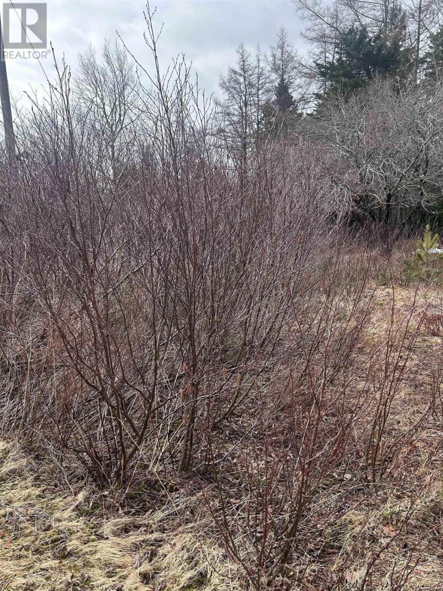 742 Lower River Road, Hureauville, Nova Scotia  B0E 1J0 - Photo 20 - 202607677