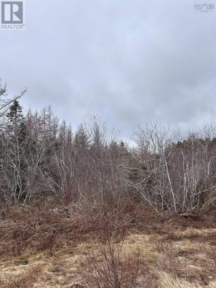 742 Lower River Road, Hureauville, Nova Scotia  B0E 1J0 - Photo 22 - 202607677