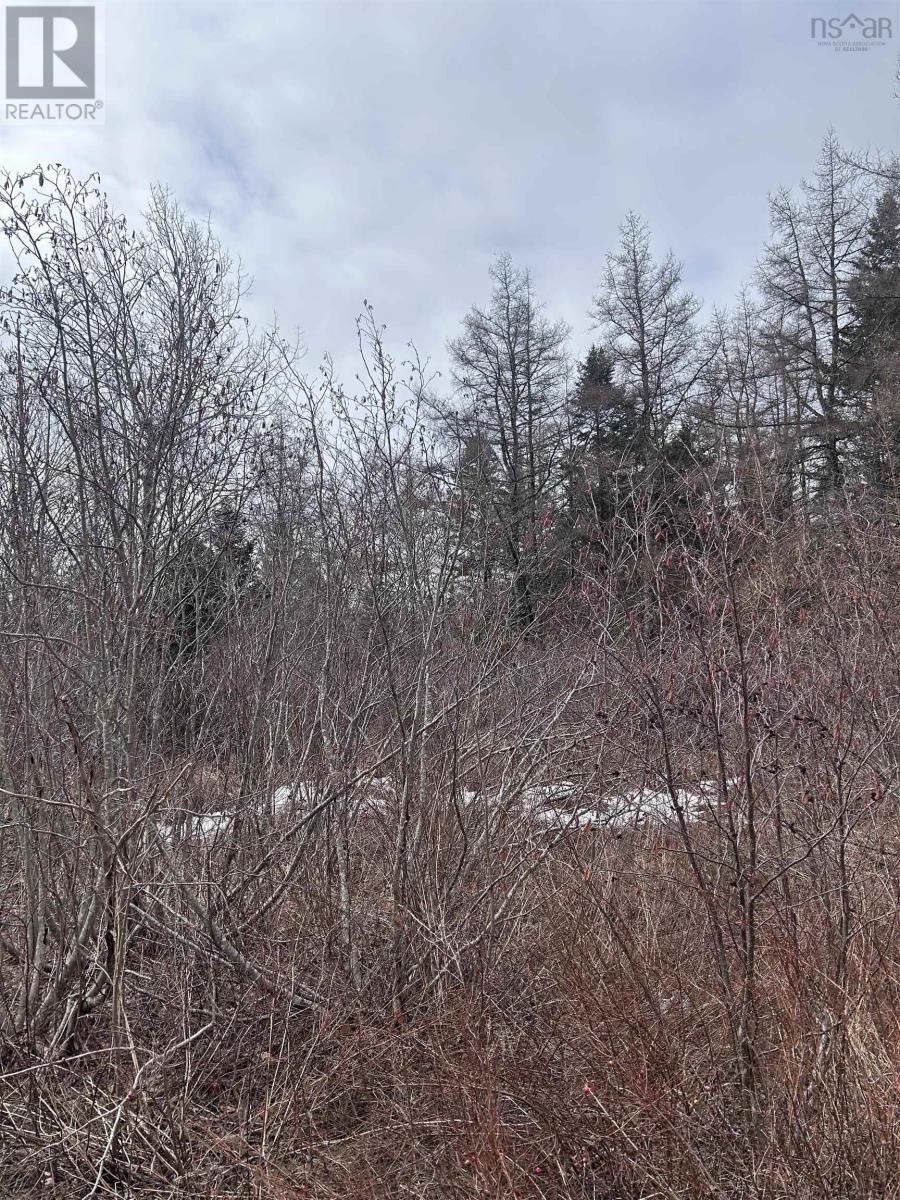 742 Lower River Road, Hureauville, Nova Scotia  B0E 1J0 - Photo 25 - 202607677