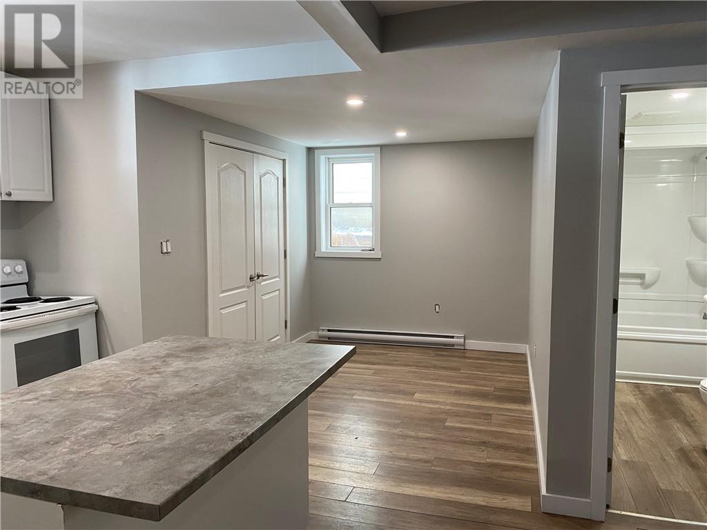 325 Kathleen Street, Sudbury, Ontario  P3C 2M3 - Photo 12 - 2127177