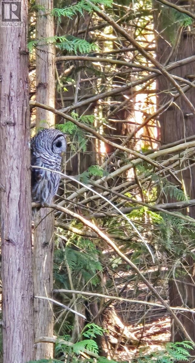 1520 Lazo Lane, Nanaimo, British Columbia  V9X 1M9 - Photo 30 - 1032393